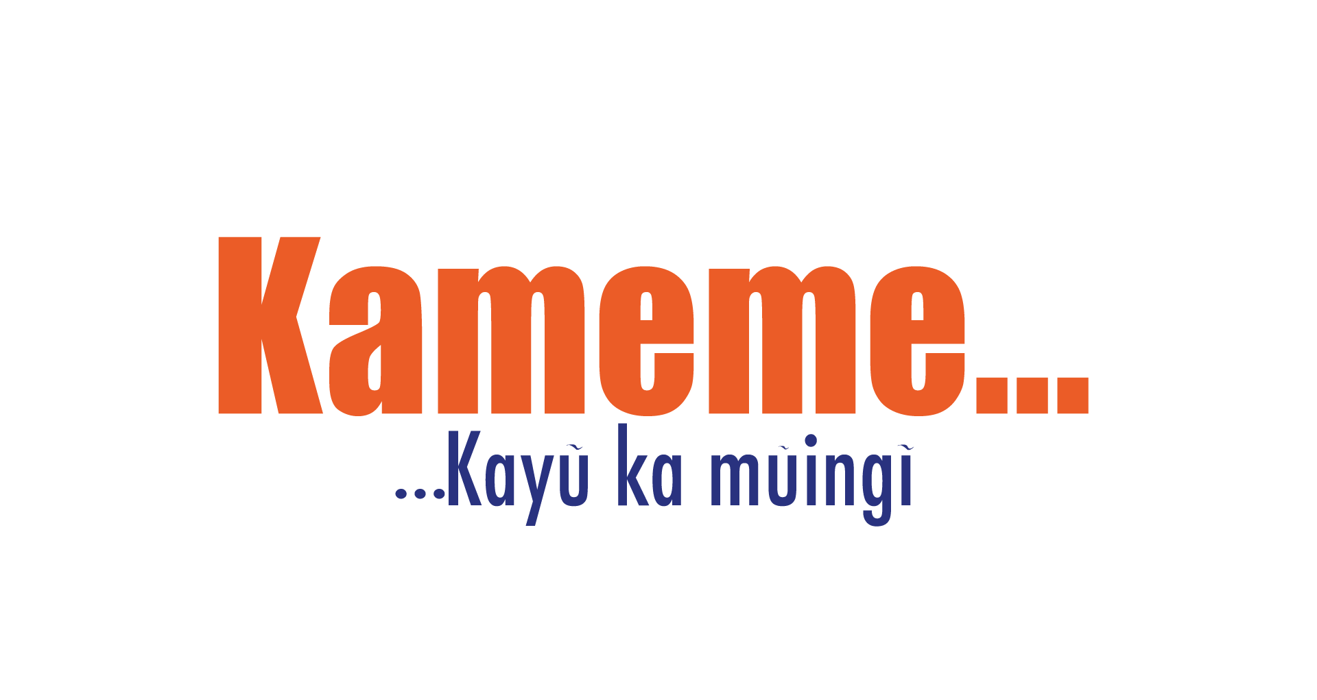 Kameme FM Brand Logo